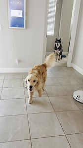 Black Friday Starts Nov 20. Explore Roborock’s Smart Cleaning Deals Before Dec 1. | Roborock