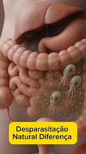 🪱 DESPARASITAÇÃO: NÃO É SÓ MATAR VERMES A maioria dos tratamentos medicamentosos atua apenas contra vermes específicos. Eles não eliminam protozoários, não atuam em ovos, não quebram biofilme e ainda podem desequilibrar a microbiota. 🌿 Uma estratégia mais completa atua contra: ✔️ vermes ✔️ protozoários (como Giardia e Blastocystis) ✔️ fungos ✔️ biofilmes ✔️ múltiplas fases do ciclo parasitário ✨ Benefícios da desparasitação com nano prata: • ação antimicrobiana ampla (parasitas, bactérias e fu