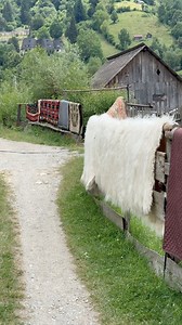 Zestrea de alta data | Odaia Cu Povesti