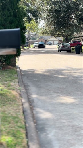 Ultimate Dropped Monster Trucks Showcase