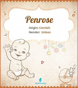 Penrose Name Meaning, Origin, History, And Popularity