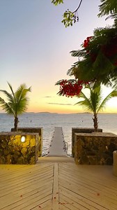 Need us? We’ll be riiiiiight here 🌴🌊😎 📍 Lovango Resort Beach Club 📽️ Tracey Minkin | Coastal Living