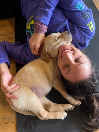 thestoicgiraffe on TikTok