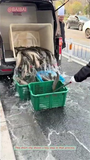 How to Unload Fish from a Truck! Quick Guide