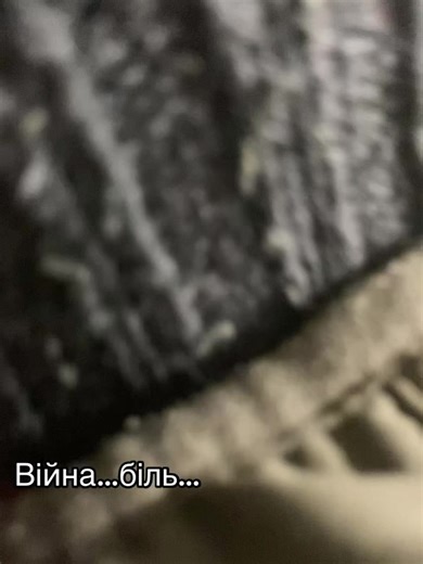 Відео користувача 👑DOMINIKA KALIBERT👑 (@dominiccalibert) з композицією «оригинальный звук - 👑DOMINIKA KALIBERT👑»