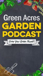 2.1K views · 24 reactions | Did you know male mosquitoes don't bite and are actually pollinators? This week Kevin speaks with Luz from the Sacramento Yolo Mosquito & Vector Control District to learn all about these pesky flying pests. These insects have an important role in the ecosystem, but they spread disease and everyone needs to do their part to fight the bite. | Green Acres Nursery & Supply | Facebook