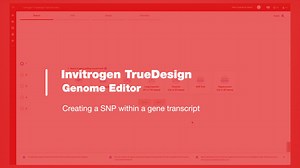 Invitrogen TrueDesign Genome Editor: Creating a SNP within a gene transcript - Scientific Videos | Thermo Fisher Scientific US