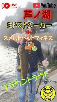 スメルトヘッドフィネスの威力!芦ノ湖でブラウン炸裂！ミドストの極意を公開🐟 #shorts