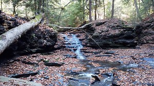 The public and hidden waterfalls of Bedford Reservation