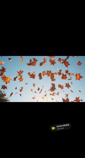  Thanksgiving is almost here, Decatur!  Make your lawn the envy of the neighborhood—book your TLT Service LLC lawn cut TODAY and get your home ready for the festivities! Spots are filling fast! https://www.jotform.com/app/252536510075149 Call us: Decatur, IL: 217‑848‑0683 #terderlovingtouch﫡 TLT service LLC  #thinkyoubettercalltyrone  | TLT Service LLC | Facebook