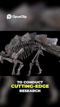 Smithsonian More Than Museums, Explore Our Vast Collections!