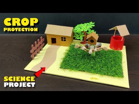 Crop Protection Working Model|| Crop Protection With Scarecrow || Science Working Project|| Science