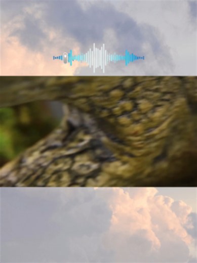 Simulating a Rainforest for 30 Days: Complete Ecosystem Story