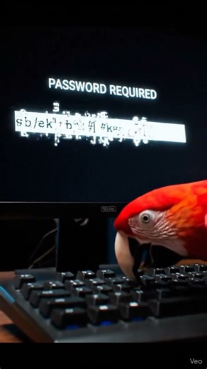 Parrot Guess The Secret Password! 🔐🦜 | Hacker Parrot