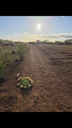 37 reactions |  A little preview of what's to come! One of our...