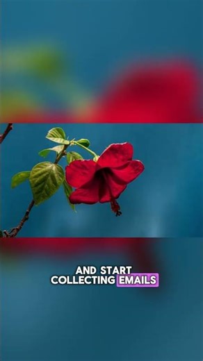 FREE Affiliate Marketing Starter Kit (30-Day Action Plan)