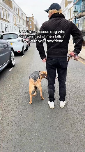 Does this make him her boyfriend 😭 #relatable #foryou #viral #animals #fyp #whosafraid #puppy #doglover #happy #adopt #pet #trend #dogs #dogsoftiktok #lov #funnydog #rescue #dog #fypシ #dogtok #trending | Ditta Wiggles