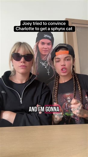 Convincing Charlotte for a Sphynx Cat