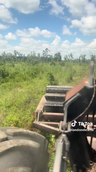 Chopping Wood with Deer Equipment in Action