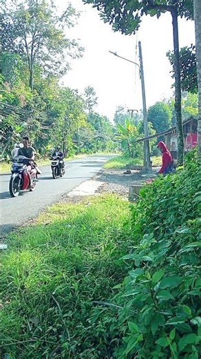 “No Sidewalk Yet, but the Grass Has Taken Over 😱”#4