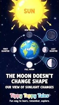 Why Does the Moon Change Shape? 🌙 | Moon Phases Explained for Kids