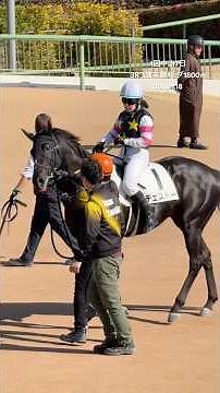 初勝利目指して 谷原柚希騎手 69戦目 チェストー 1回中山7日 3R 4歳未勝利 ダ1800m 9着