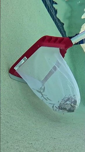 The Best Heavy-Duty Pool Net for Leaves & Debris! 🏊‍♂️✨ #PoolMaintenance #shorts