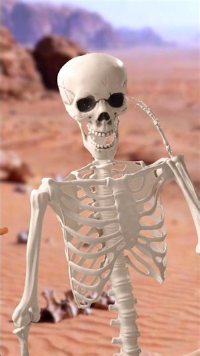 How to NOT Die in the Desert!