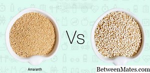 Amaranto y Quinua - COMIDA 2026