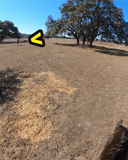 Who else likes donating to horse shows? Also a close call with another rider on course! 😱 #crosscountry #eventing #horsetrial #gopro #closecalls