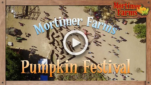 Pumpkin Fest | Mortimer Farms in Dewey, AZ