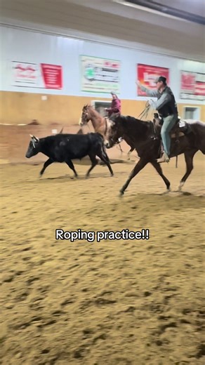 Big night for my 2 year old Nash, first time in the roping pen and turning steers! Perfect set of practice steers for him tonight! He did so amazing, I’m so excited to get him started this year in team roping, break away and tie down calf roping! #roping #cowboys #rodeo #colt