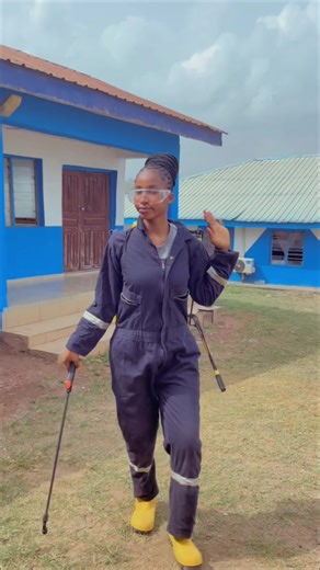 The Importance of Fumigation in Environmental Health