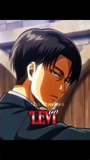 LEVI vs ERWIN