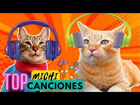 TOP: 39 Michi Canciones de GATOS! 😽🎶🎵 Recopilacion EpiCAT!