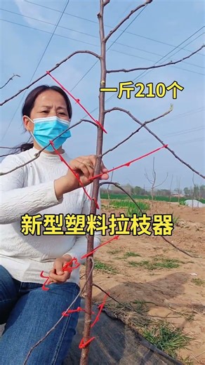 New Farming Innovation – Fruit Tree Branch Shaping Made Easy 🌳🔥