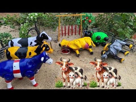 WADIDAW 🐄‼️🐘PROSES POTONG SAPI SIMOLASI QURBANI IDULIDHA COWCARTOON VIDEO SAPILUCU‪ ⁨@sapisuperstar⁩