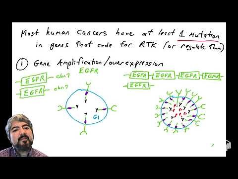RTKs (Receptor Tyrosine Kinases) and their role in cancer