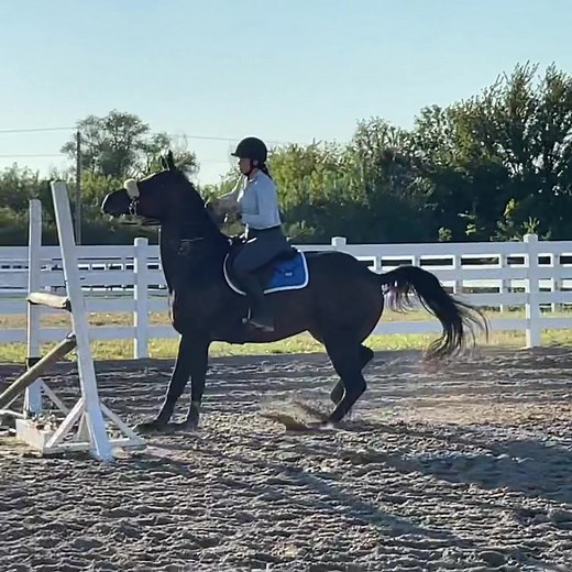 Since you guys seem to love these and Ranita being on crack 😂🤣 #fyp #foryou #ZFlipClackdown #mares #shiteventer #shiteventersunite #eventersoftiktok #mares #hothorse #showjumpers #showjumping #showjumpersoftiktok #eventerslife #horsefail #showjumpingfail