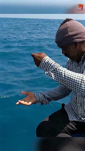 Sea Fish Catching Videos #fishing #fishingvideos #fishingtime