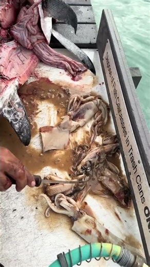 devil fish in the end? Comments Below