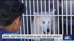 The San Diego County Department of Animal Services is waiving adoption fees amid its Bonita and Carlsbad locations among an overcrowding problem. 🐶 http://on.nbc7.com/bCOuSIY | NBC 7 San Diego