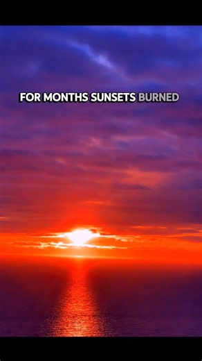 The Day the Sky Turned Purple 😳