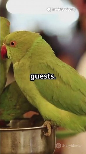 7 Hilarious & Bizarre History Facts You Won’t Believe! 🤯😂