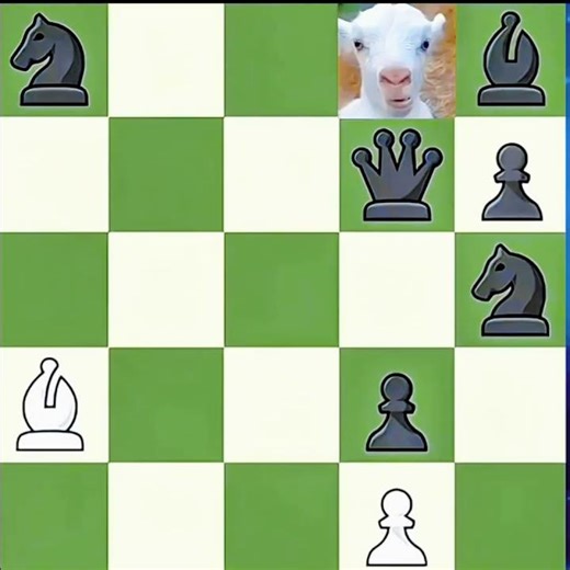 "The Perfect Back-Rank Checkmate!" #chessshorts