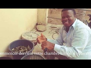 Parlons d'élevage des escargots (achatiniculture) avec Coach Didier Gagnant