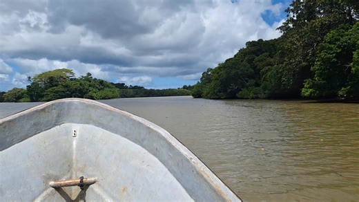 Henry Raymond Bull on Reels