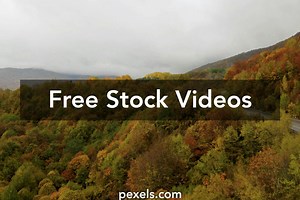 Cloud Network Videos, Download The BEST Free 4k Stock Video Footage & Cloud Network HD Video Clips