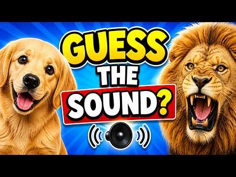 Guess the Animal Sound for Kids! 25 Animal Sounds Quiz