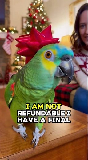 PARROT Panics: "Are You Regifting Me to Aunt Linda?!" 🎁😂